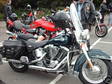 2001 Harley-Davidson Flstci Heritage Softail C Green